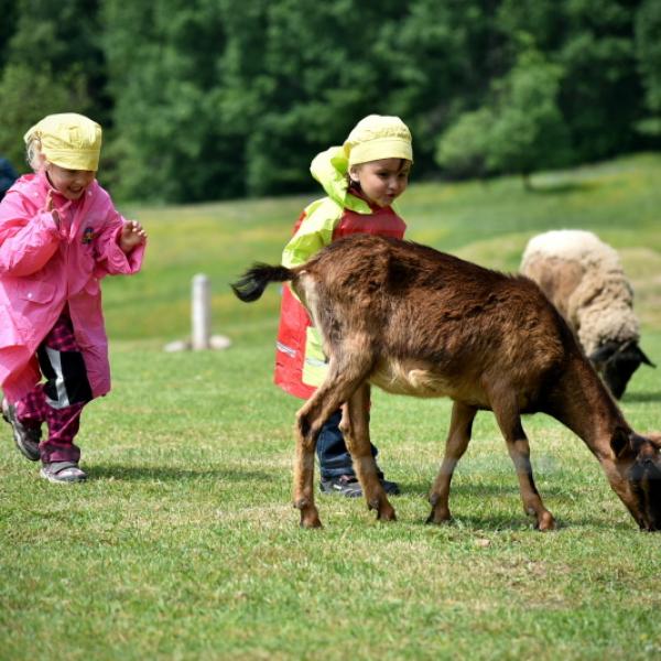 Farmapark Muchomůrka
